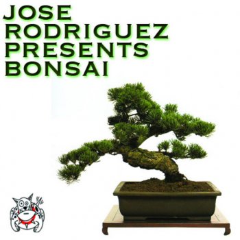 Jose Rodriguez Bonsai