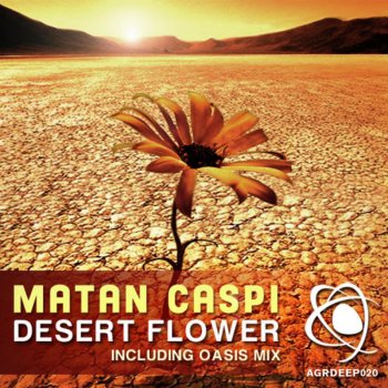 Matan Caspi Desert Flower