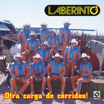 Laberinto Juan Corona