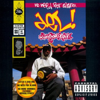 Del the Funky Homosapien No Need for Alarm