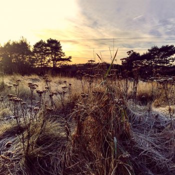 Ane Brun Always On My Mind