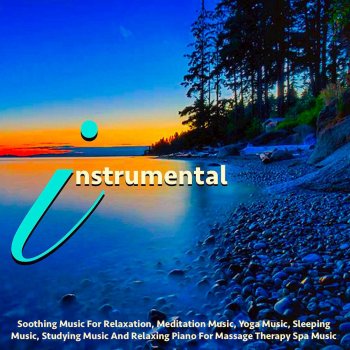 Instrumental Instrumental (Music for Sleeping)