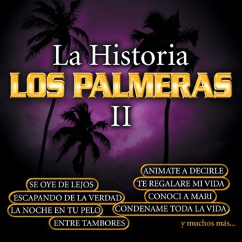 Los Palmeras La Noche en Tu Pelo