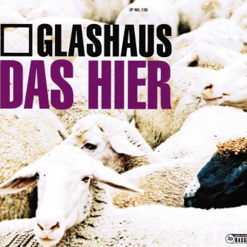 Glashaus Das hier (Atty Mezcal`s)