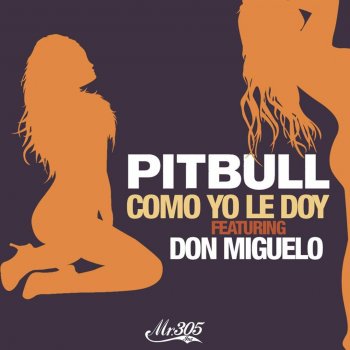 Pitbull feat. Don Miguelo Como Yo Le Doy