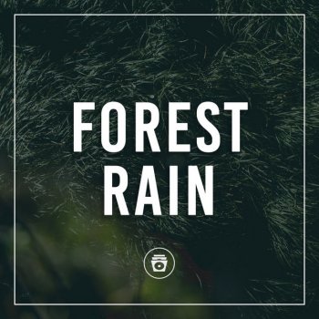 Исполнитель Nature Therapy, альбом Forest Rain