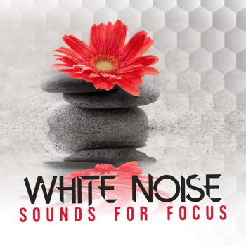 Binaural Beats Brainwave Entrainment White Noise: Falls