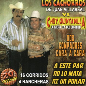 Los Cachorros de Juan Villarreal El Potro Lomo Gateado