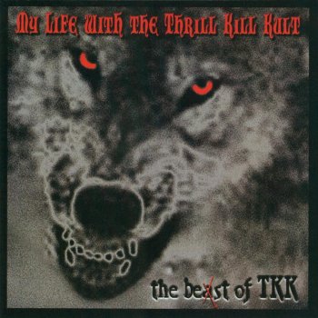 My Life With the Thrill Kill Kult Kooler Than Jesus (Edit)