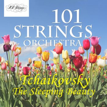 Pyotr Ilyich Tchaikovsky feat. 101 Strings Orchestra The Sleeping Beauty, Op 66, Pas De Caractere