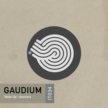 Gaudium Wake Up (Original Mix)