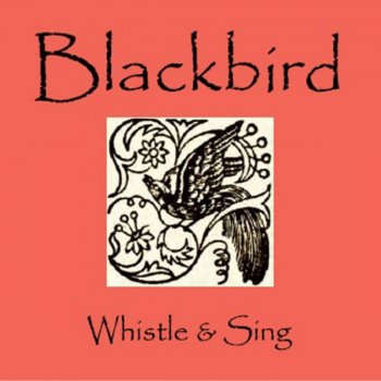 Blackbird January 28