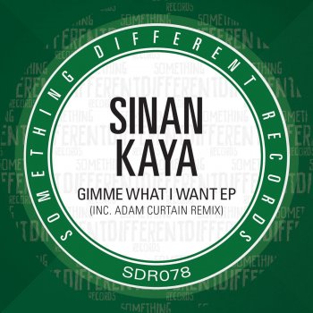 Sinan Kaya What's The Matter With You - Original Mix