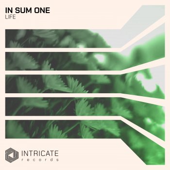 In Sum One Life (Progressive Mix)