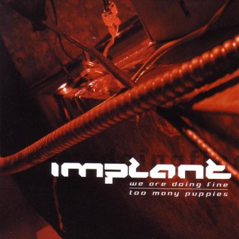 Implant We Are Doing Fine (Armagedon Dildos remix)