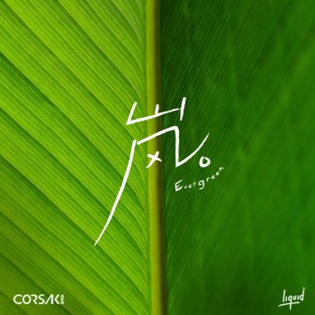 CORSAK 岚 Evergreen