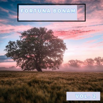 Fortuna Bonam Passive Motion - Solo Guitar