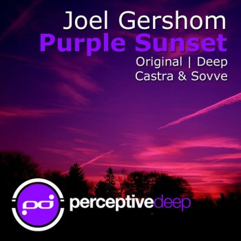 Исполнитель Joel Gershom, альбом Purple Sunset