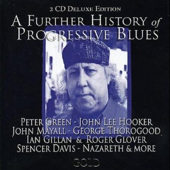 John Lee Hooker Rock These Blues Away