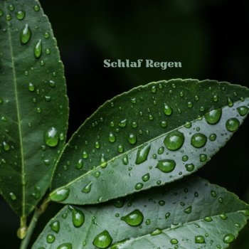 Regenaufzeichnungen Es Regnet Für Immer