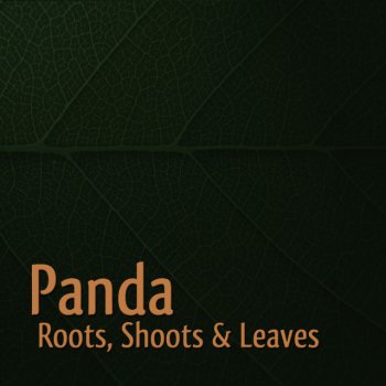 Panda Eclipse