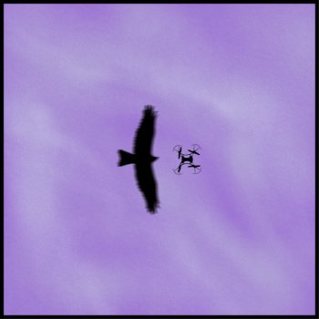 IRBIS 37 feat. Logos.Lux OsaOsa