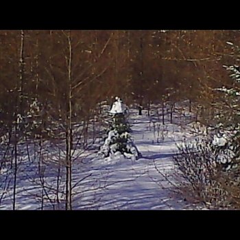 Исполнитель Dave Green, альбом Princess Christmas: The Tale of Little Sarah Noelle Green