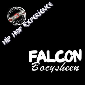 Falcon Bitstream