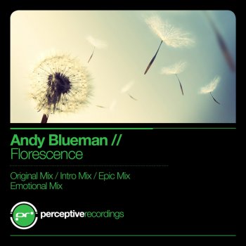 Andy Blueman Florescence (Original Mix)