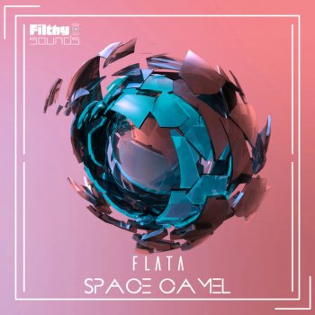 Flata Space Camel