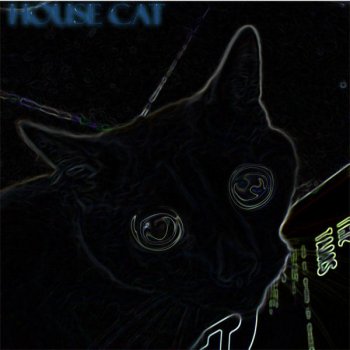 House Cat Dilated