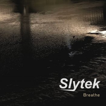 Slytek Detonator