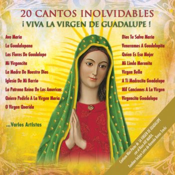 Various Artistas Virgencita Guadalupe (Karaoke Bonus Track)