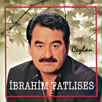 İbrahim Tatlıses Arap Atı