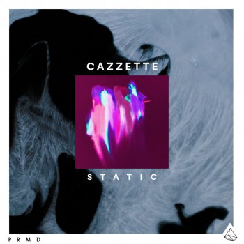 Cazzette Static