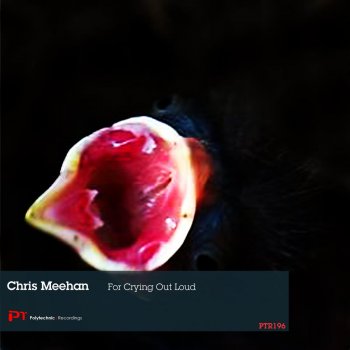 Исполнитель Chris Meehan, альбом For Crying Out Loud