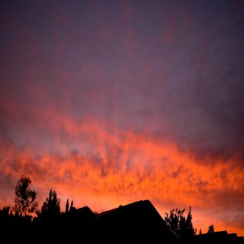 Исполнитель Kampsy, альбом In the Now