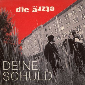 Die Ärzte N 48.3 (Unplugged)