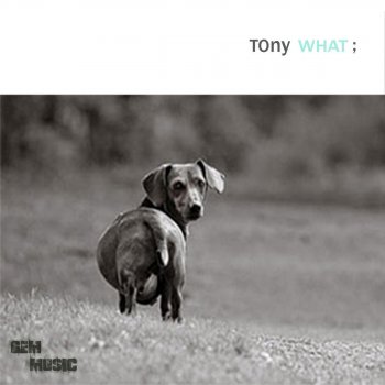 Tony Tony - What (Ambient Mix)