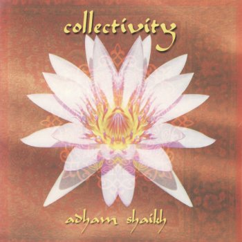 Adham Shaikh Collective