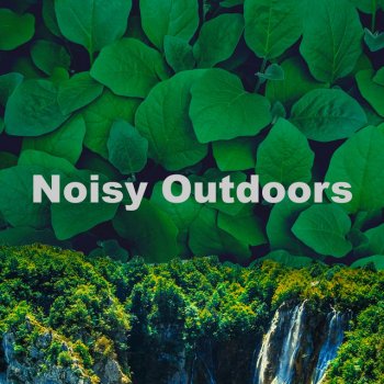 The Noisy Outdoors Herbs Safe