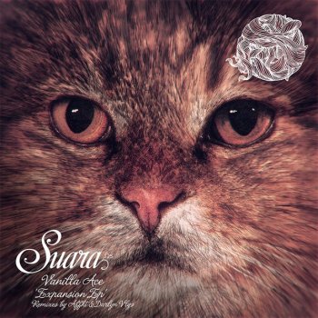 Vanilla Ace Expansion