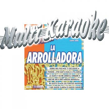 Multi Karaoke Perdon Porque