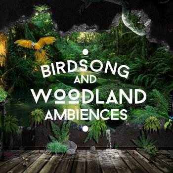 Исполнитель Bird Sounds, альбом Birdsong and Woodland Ambiences
