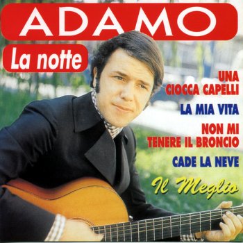 Adamo Cade la neve