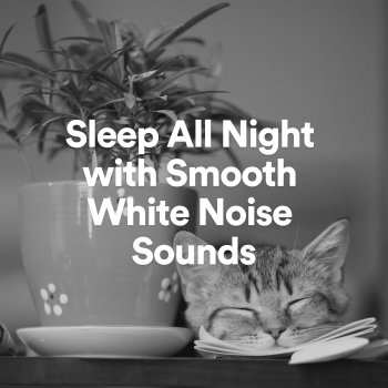 White Noise ASMR Smooth Night