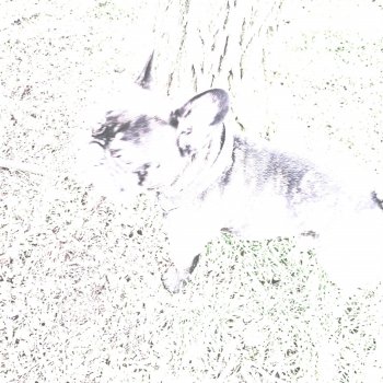 Pluto Music Nincs Visszaút (feat. Tigris)