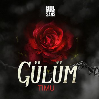 Timu Gülüm