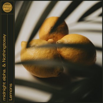 midnight alpha. feat. Nothingtosay Lemons