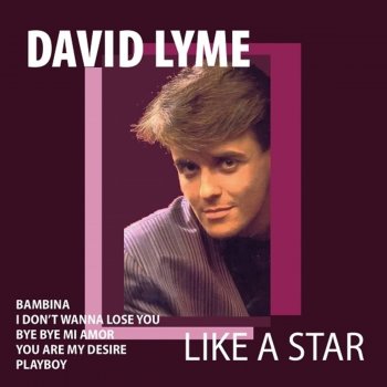 David Lyme Loving You